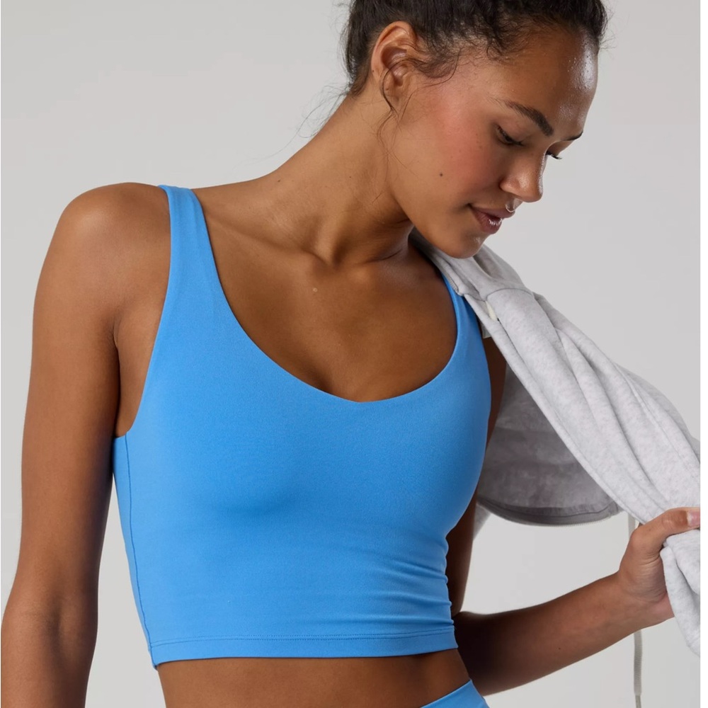 Aerie Blue Crop Top